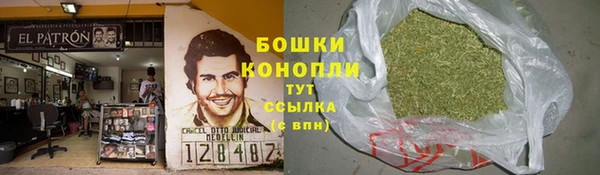 мдпв Козельск