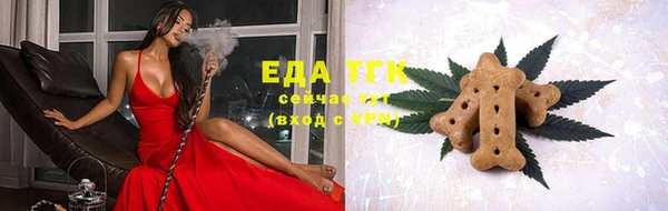 мдпв Козельск
