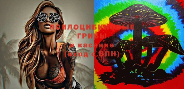 мдпв Козельск