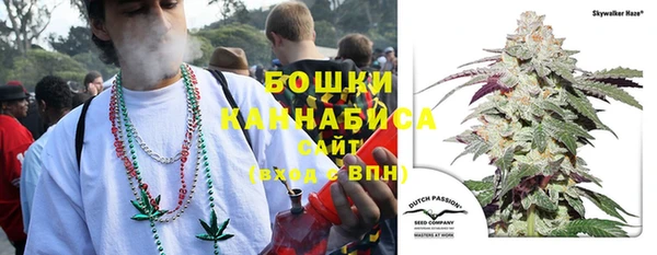 гидропоника Кодинск