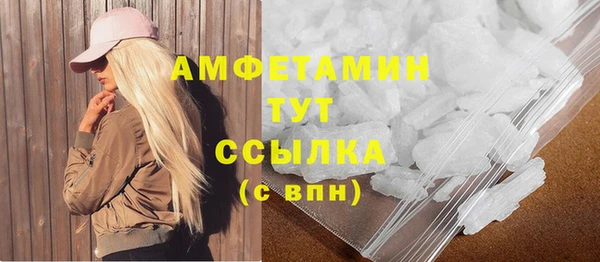 мдпв Козельск